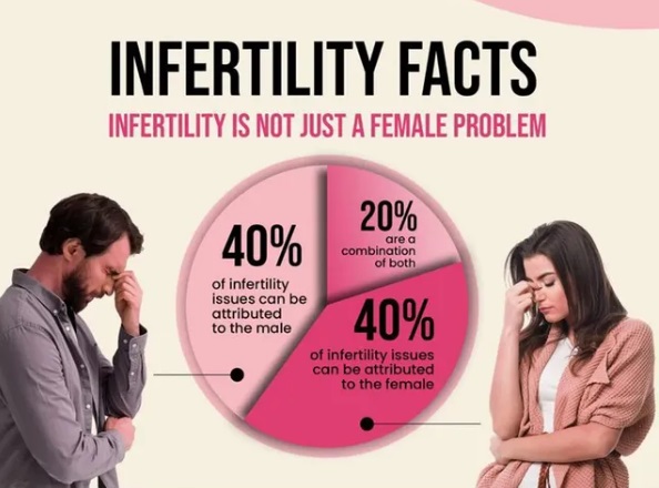 Natural Infertility Unani Treatment In Delhi